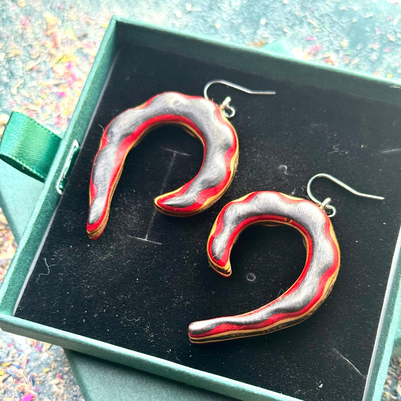 Pair of silver and red hoop earrings in a green box.
