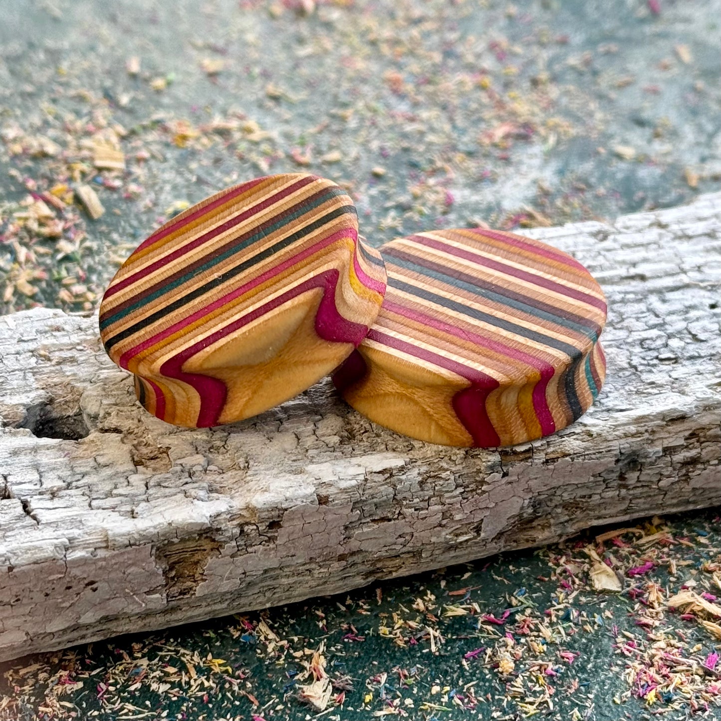 Multicoloured skateboard-wood plugs on weathered timber, the double flare profile visible from the side.