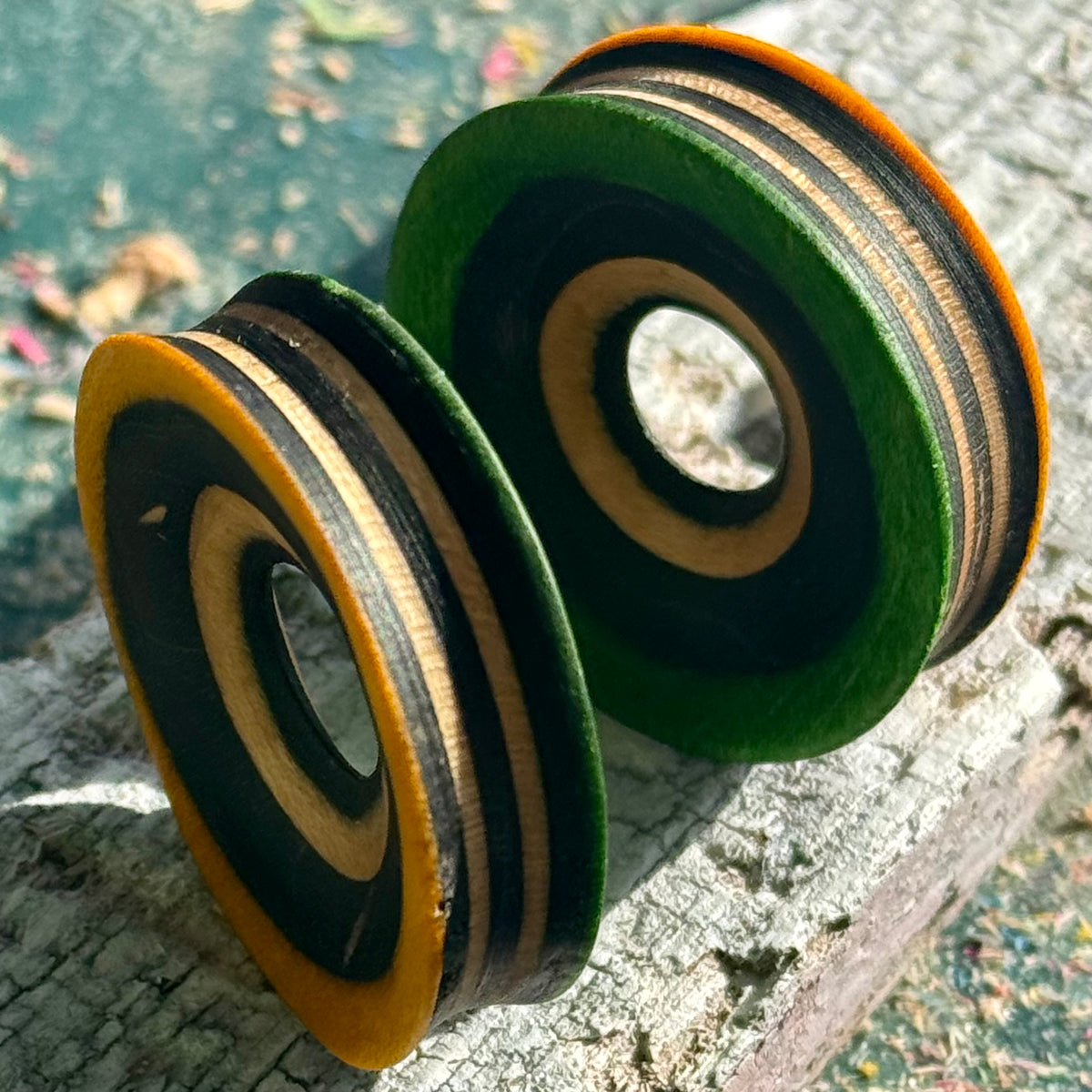 Yellow and green tunnels with concentric black and maple rings around the opening.