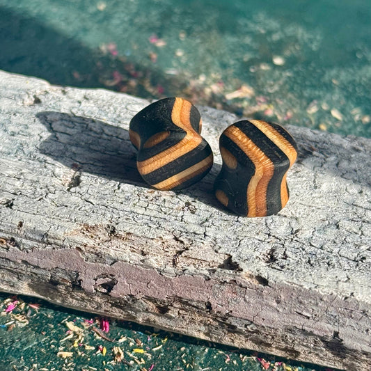 Black Double Flare Wooden Ear Plugs 10mm with striped natural wood pattern resting on weathered bark outdoors