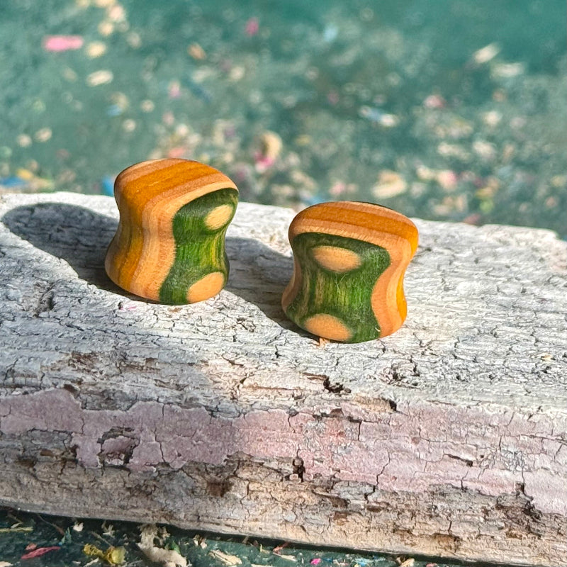 Green and yellow 10mm ear plugs in layered maple, natural grain reading through the finish.