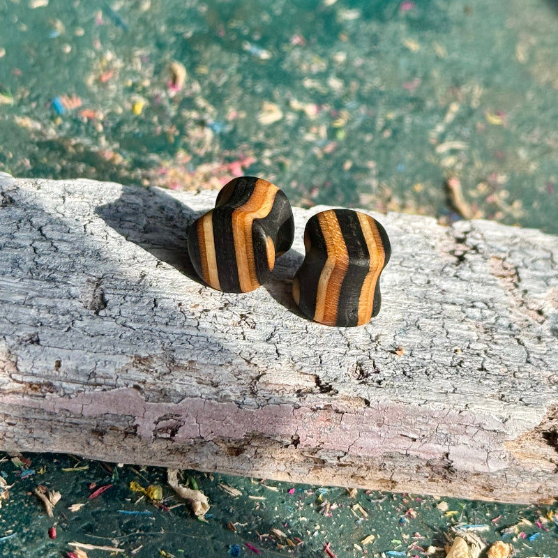 Black 10mm ear plugs on weathered wood, maple grain still visible through the dark finish.