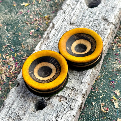 Green and Yellow Concave Face Wooden Ear Plugs