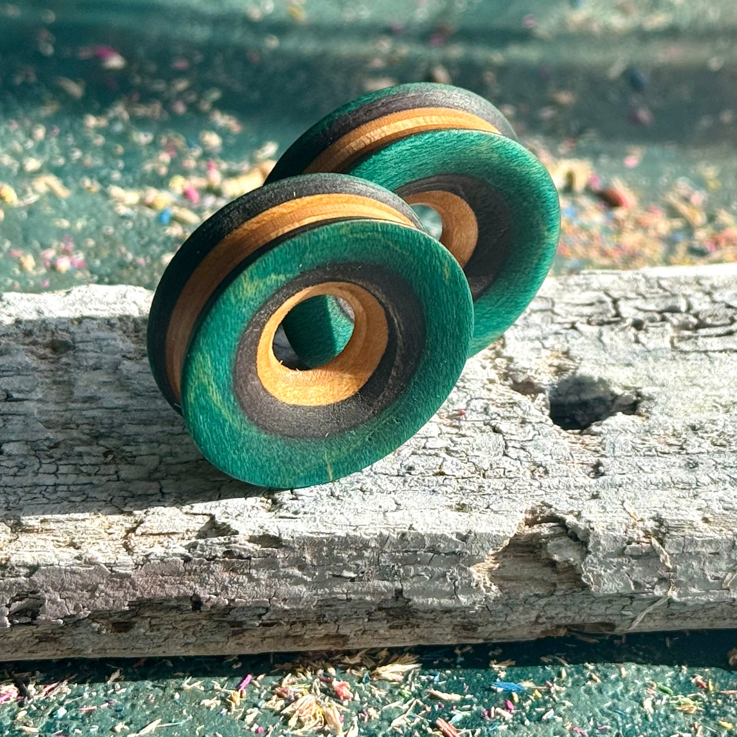 Teal and Black Concave Face Wooden Ear Tunnels