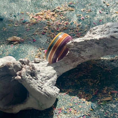 Yellow Orange Purple Recycled Skateboard Ring