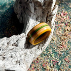 Yellow and green skateboard maple ring resting on driftwood.